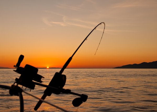 Top 5 des destinations incontournables pour la pêche en France