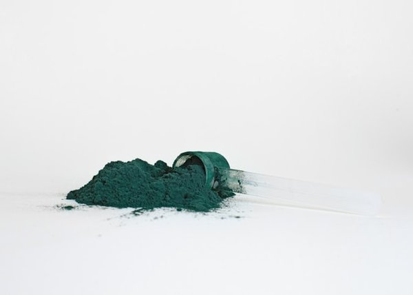 Guide pour acheter de la spiruline à petit prix